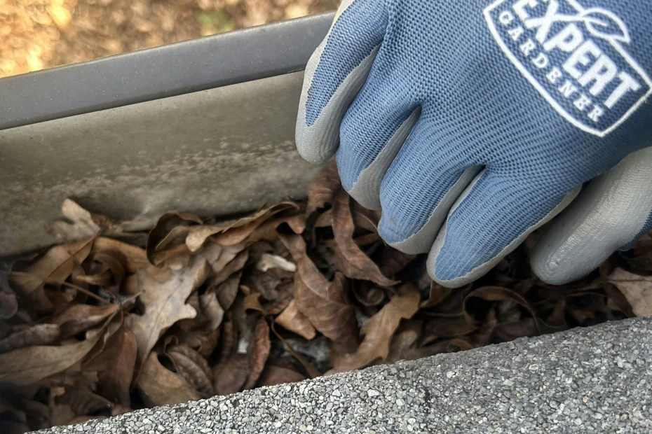 Gutter Cleaning North Versailles